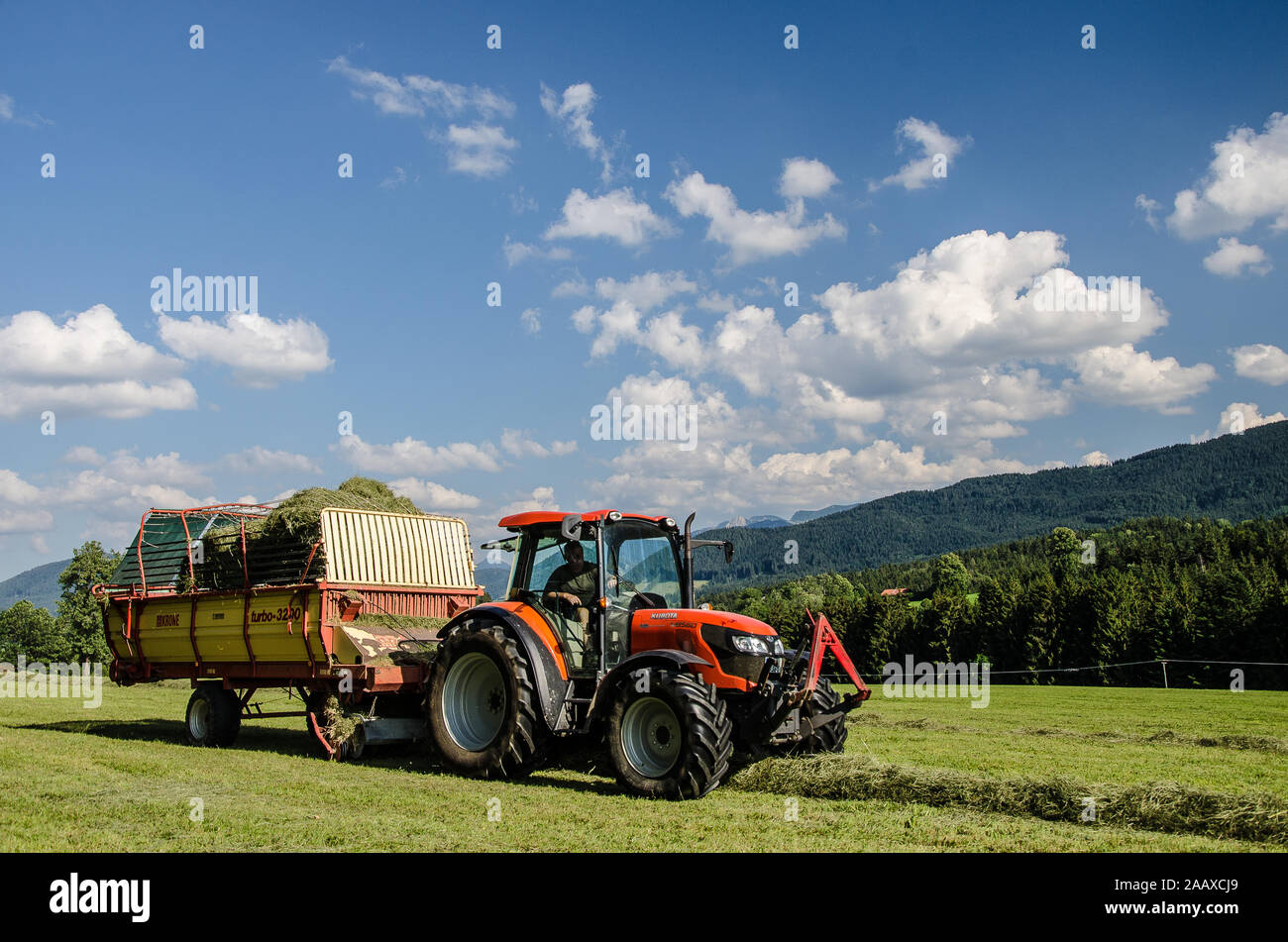 The process of making hay has steadily changed.from the earliest methods of cutting grass with a