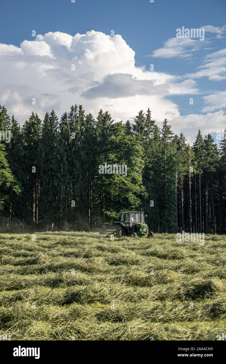 The process of making hay has steadily changed.from the earliest methods of cutting grass with a