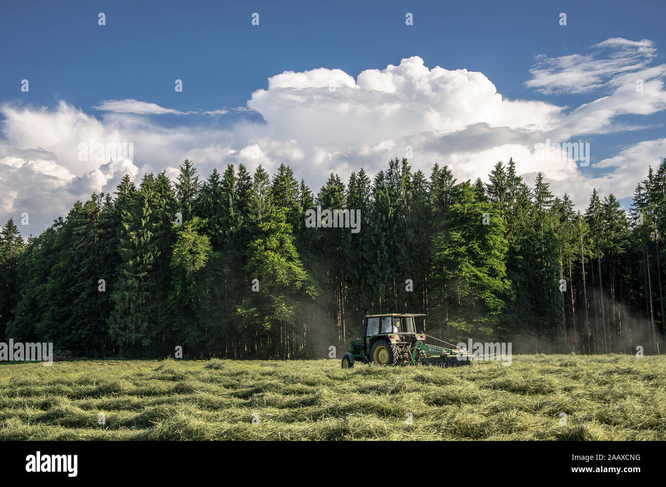 The process of making hay has steadily changed.from the earliest methods of cutting grass with a