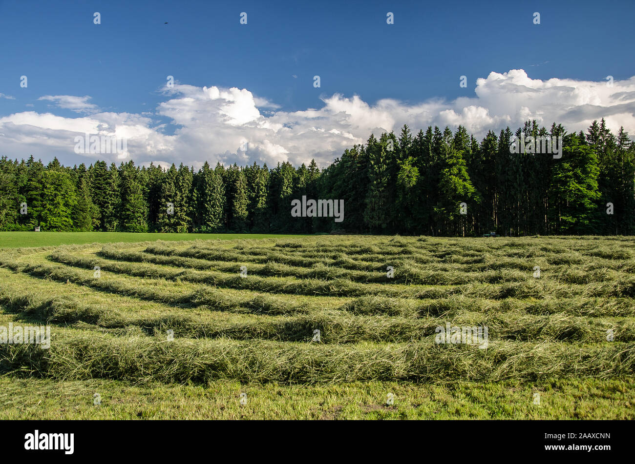 The process of making hay has steadily changed.from the earliest methods of cutting grass with a