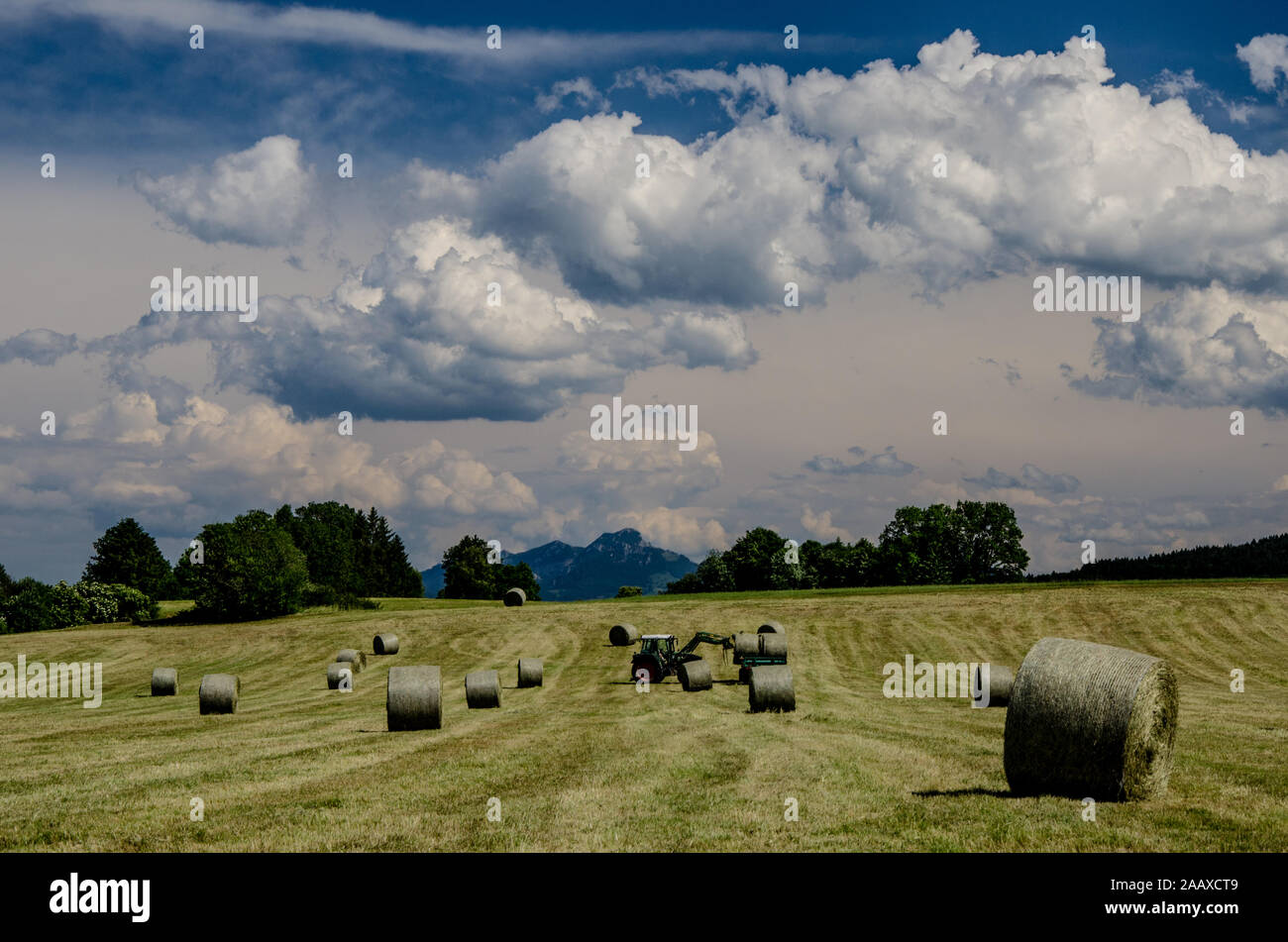 The process of making hay has steadily changed.from the earliest methods of cutting grass with a