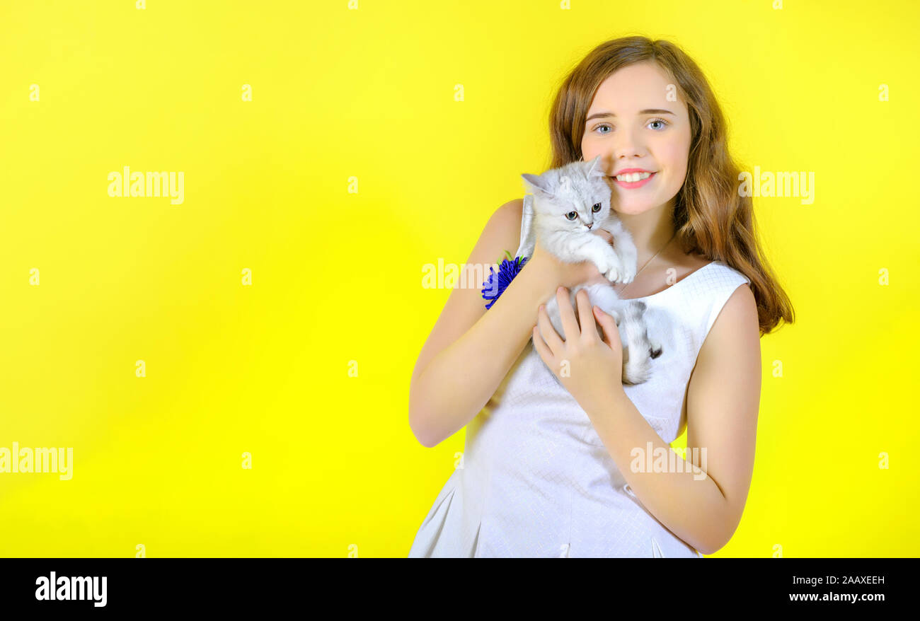 Beautiful girl on a yellow background holds in her arms and hugs a little cute kitten. Place for text Stock Photo