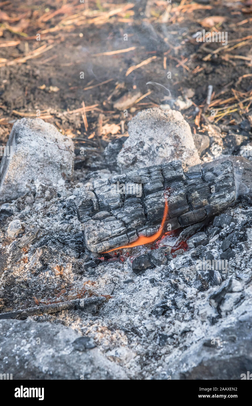 Smouldering wood ash remains from wood burning campfire set in a stone fire circle. Metaphor survival skills, camping outdoors, camp fire, bushcraft. Stock Photo