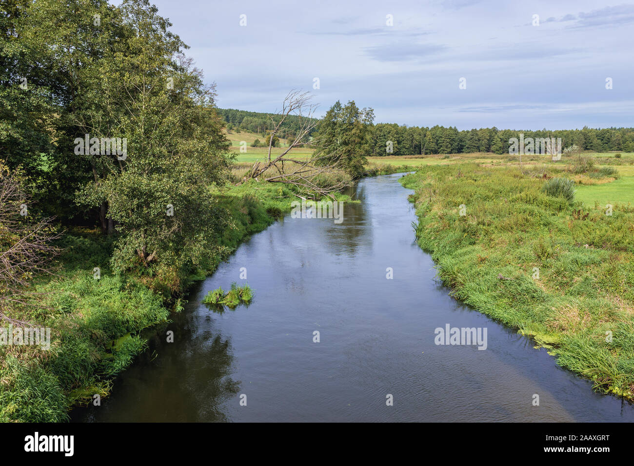 Drweca River in Brodnica County in Kuyavian-Pomeranian Voivodeship of  Poland Stock Photo - Alamy