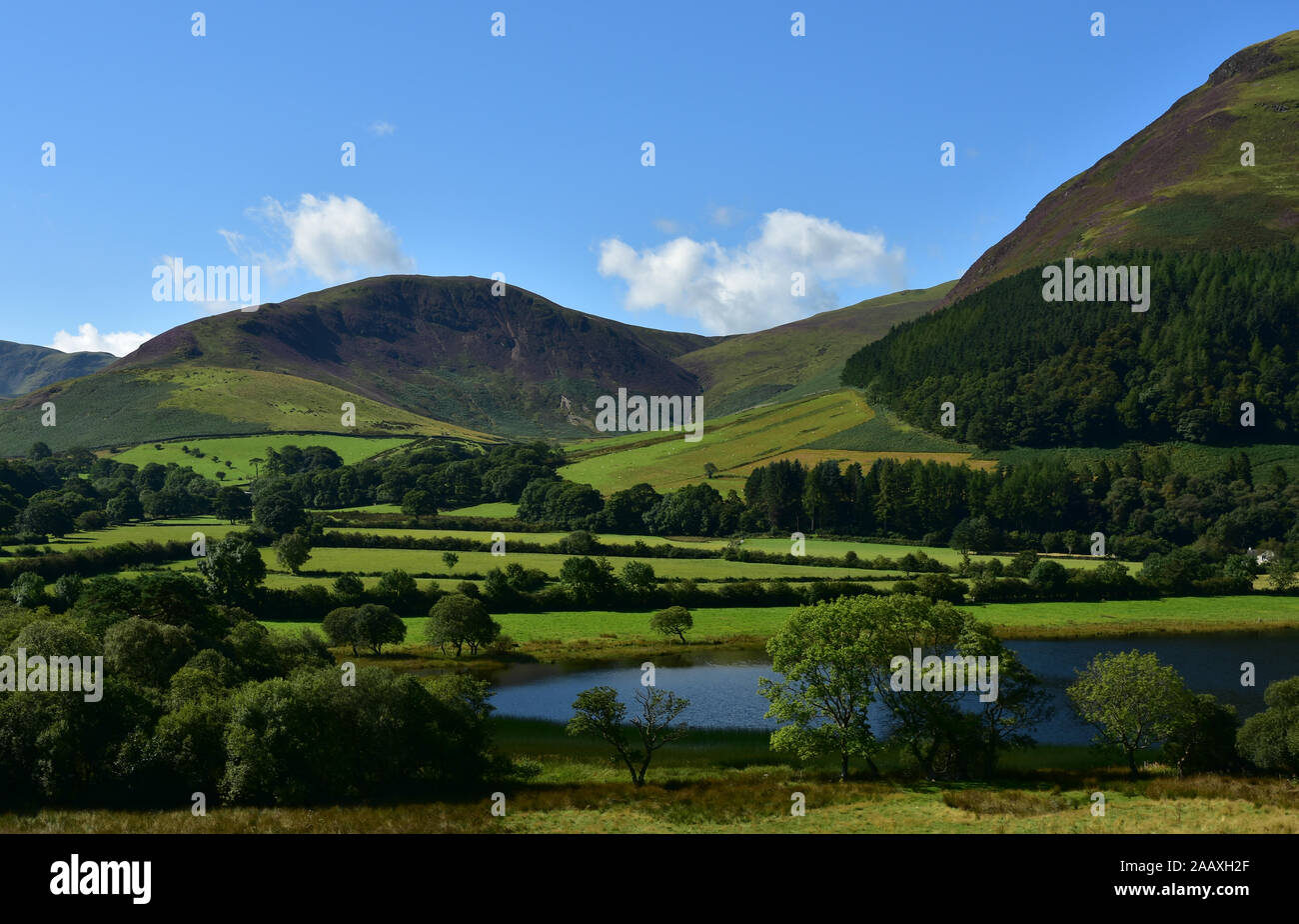Southern end of Loweswater from the eastern side, Cumbria Stock Photo