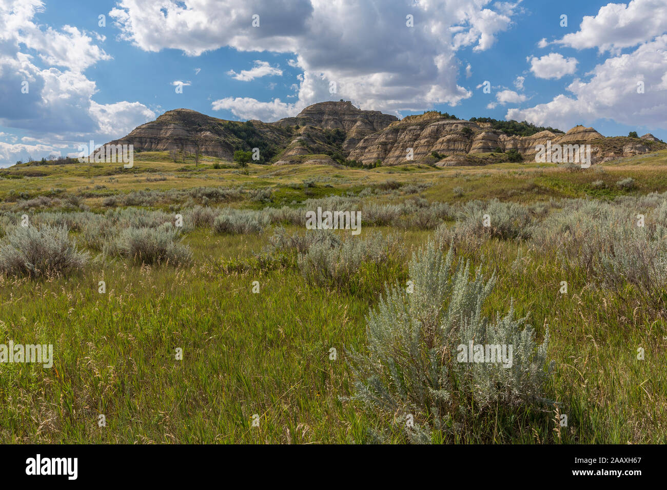 Badlands of North Dakota Scenic - Badlands Of North Dakota Scenic Landscape 2AAXH67 