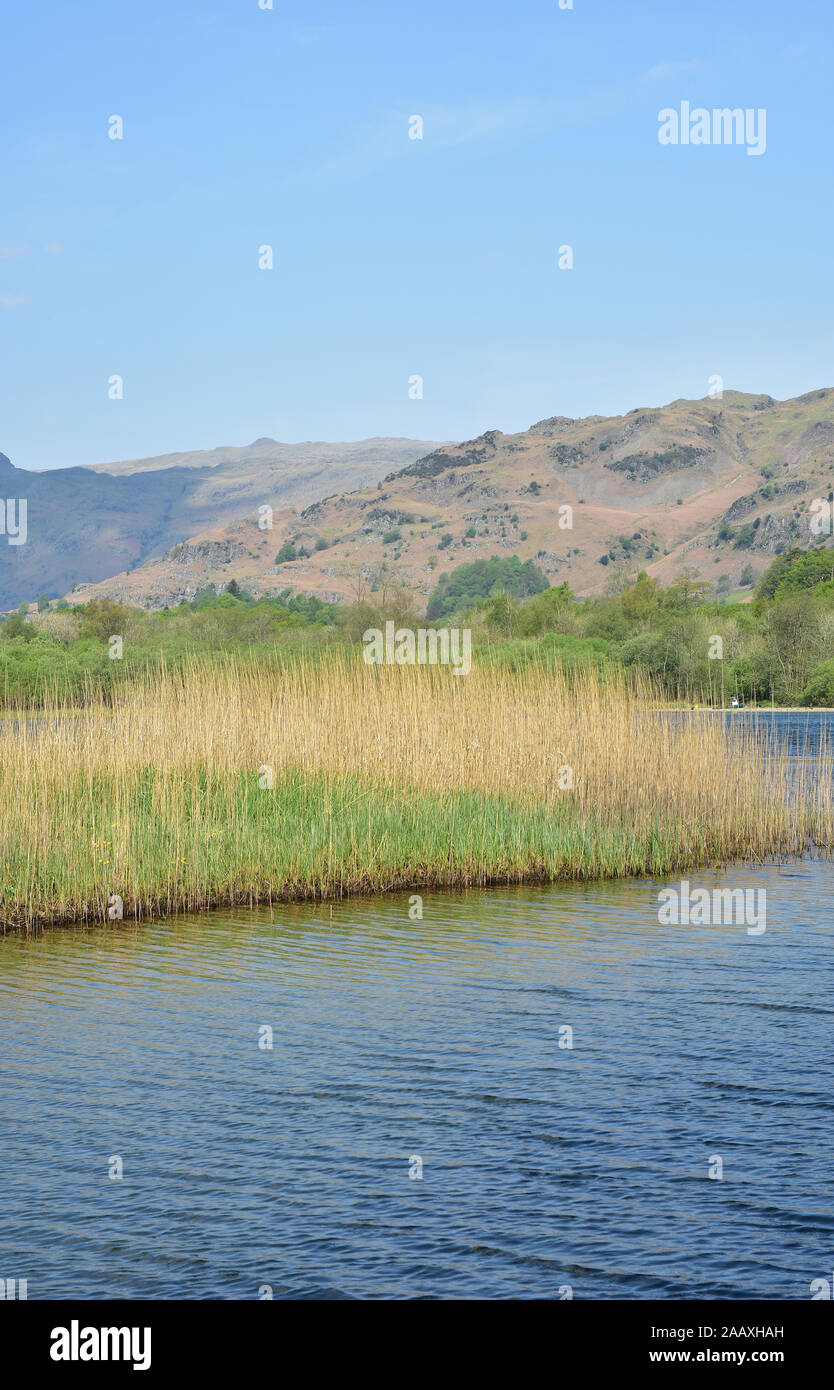 Elter Water, Cumbria Stock Photo