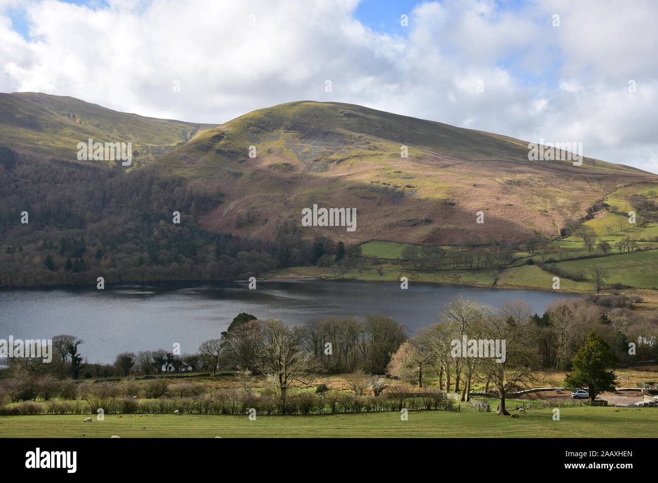 North Western end of Loweswater, Cumbria Stock Photo