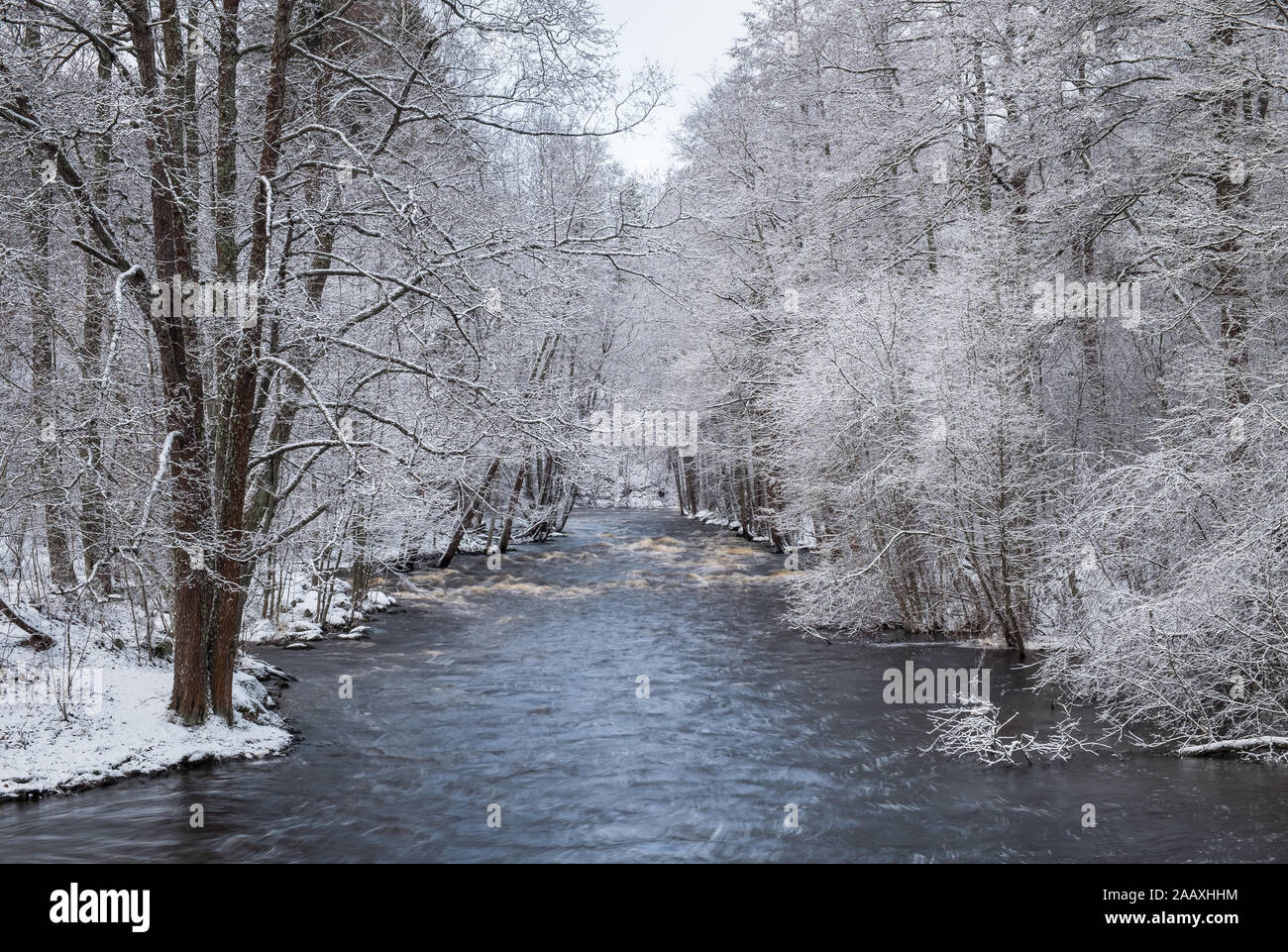 Scenic winter landscape with flowing river and morning light in Finland. Snowy trees. Stock Photo