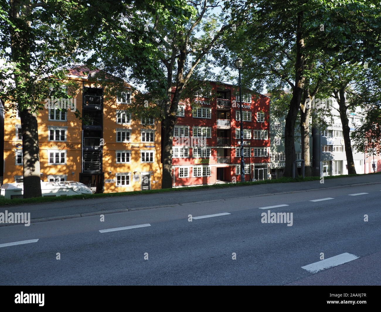 TRONDHEIM, NORWAY on JULY 2019: Road and trees in front of colorful houses in european city at Trondelag district with clear blue sky in warm sunny su Stock Photo