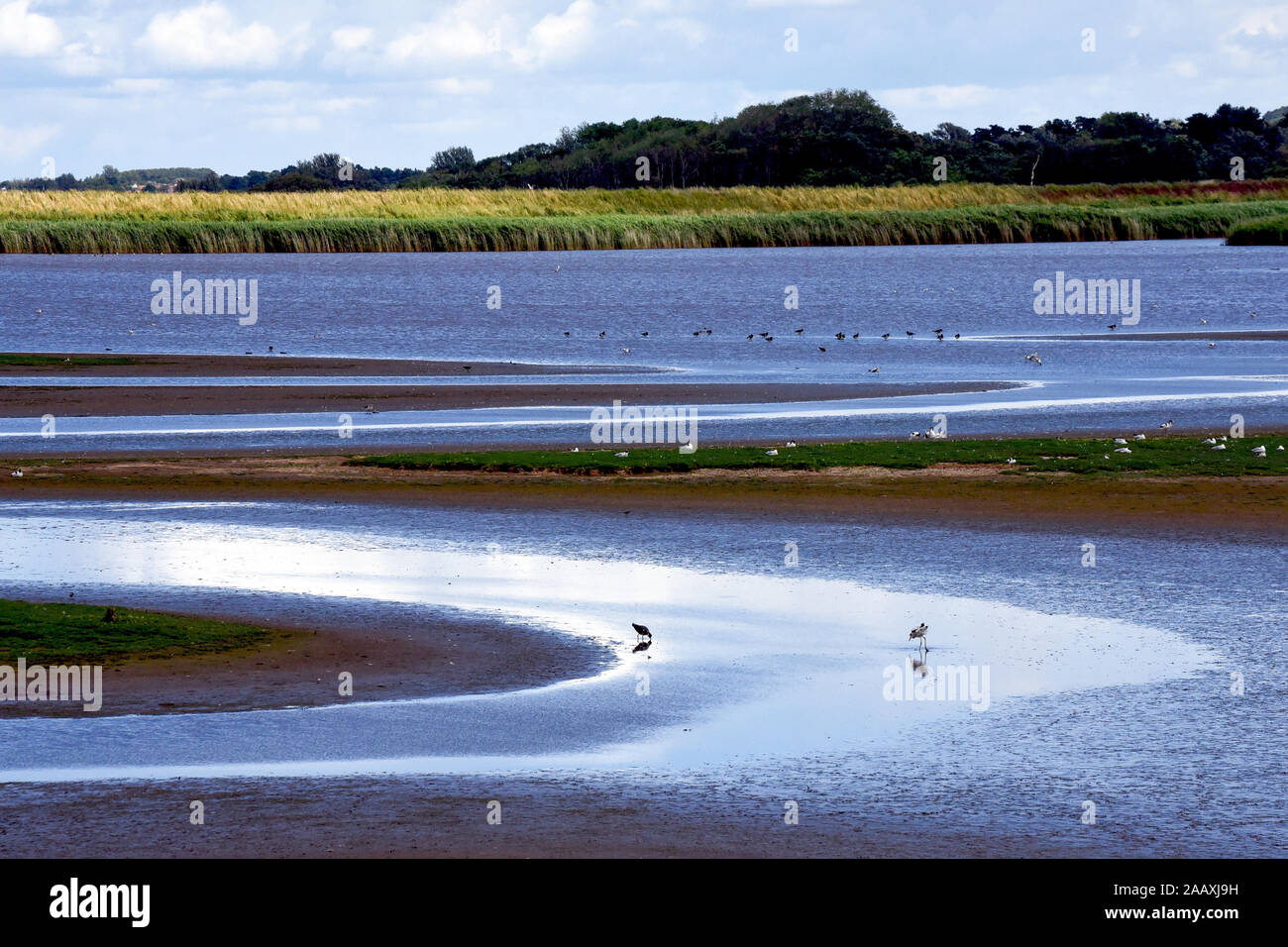 RSPB Titchwell Marsh nature reserve in Norfolk Stock Photo