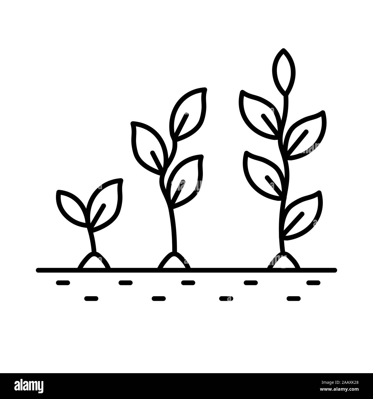 Plant growth stages, from sprout to flower, isolated line icon Stock Vector