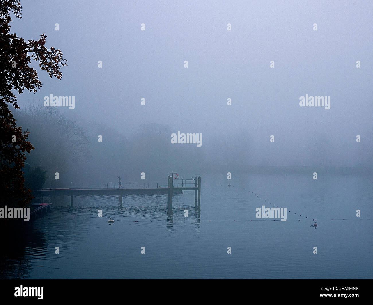 Hampstead Heath swimming Pond at dawn. Camden London UK Stock Photo