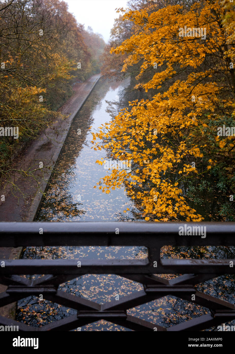 Regents Park canal in autumn, Camden London UK Stock Photo