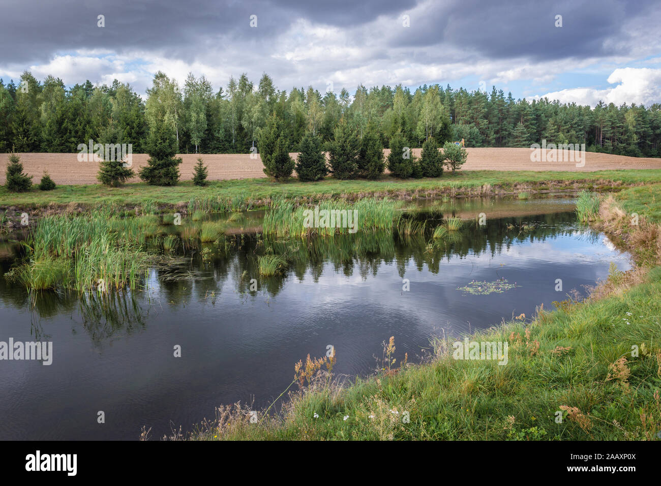 Small pond in Nowe Miasto County in Warmian-Masurian Voivodeship, northern Poland Stock Photo