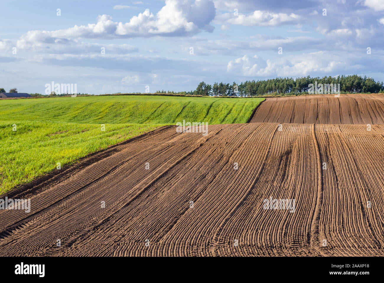 Rural landscape in Nowe Miasto County in Warmian-Masurian Voivodeship, northern Poland Stock Photo