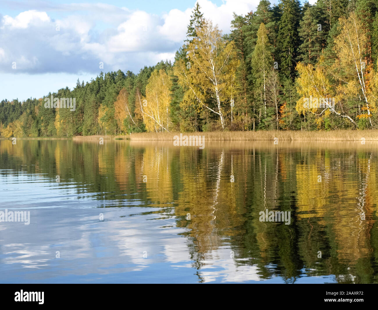 colorful autumn landscape with lake and gorgeous trees, beautiful ...