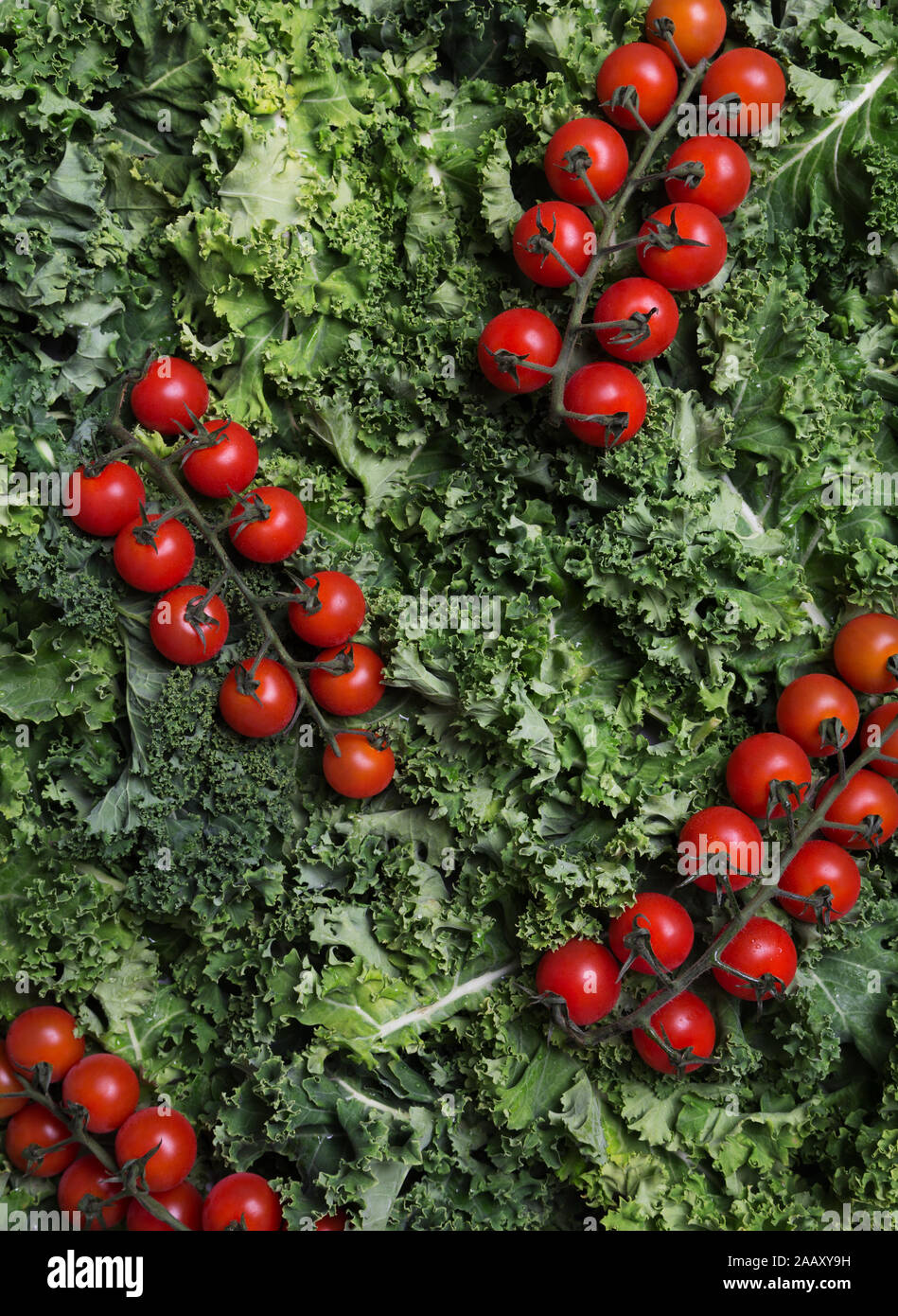 Kale with cherry tomatoes as background. Concept of fresh raw food Stock Photo