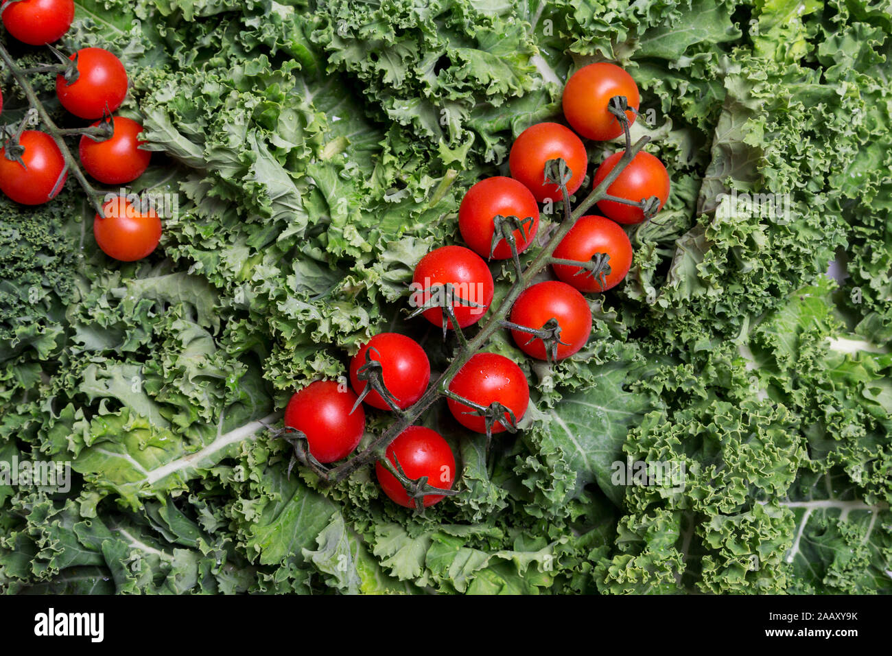 Tomatoes on green curly cabbage. Concept of healthy and diet food for lady Stock Photo