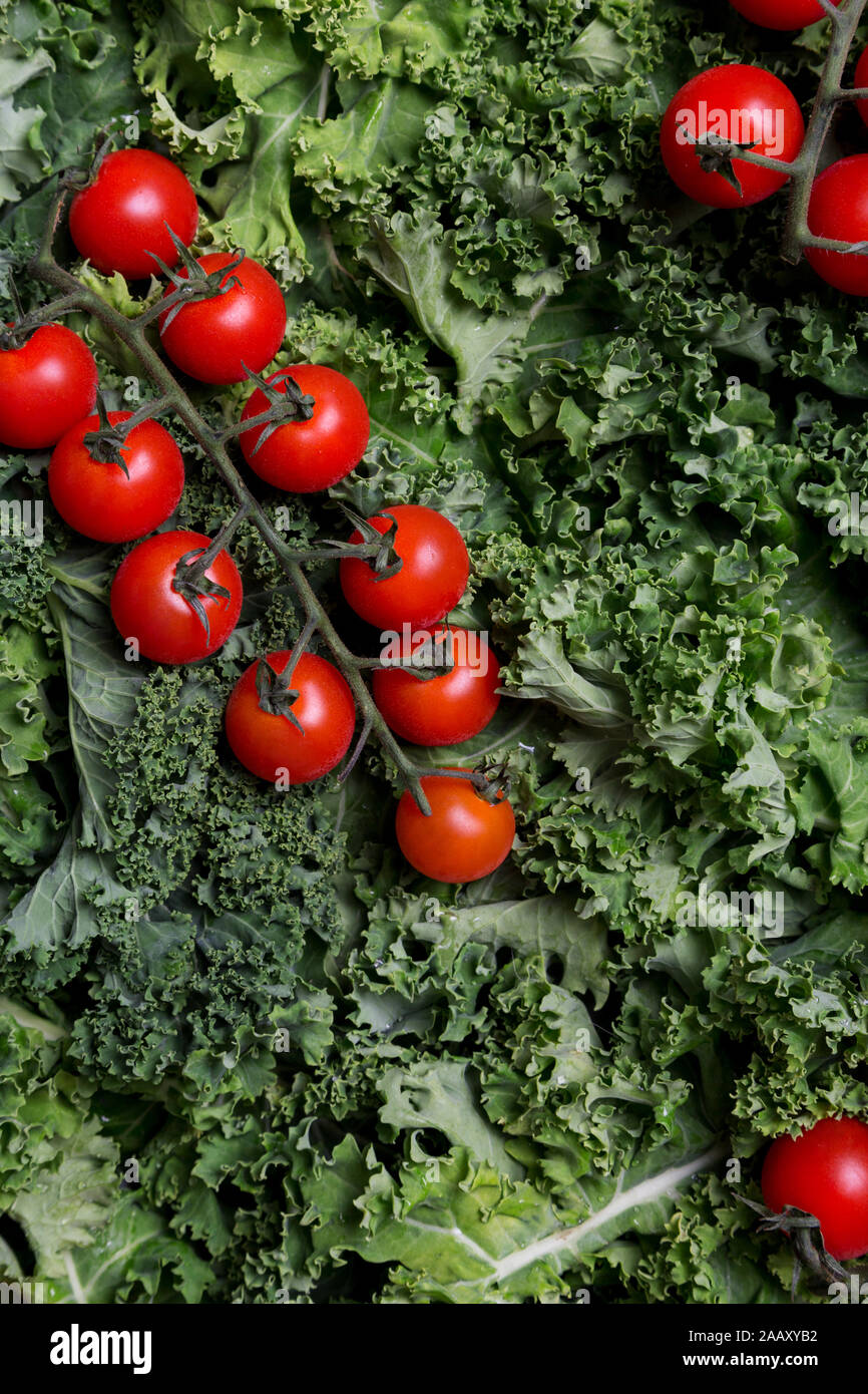 Close up cherry tomatoes on curly cabbage. Concept of fresh healthy food for background Stock Photo