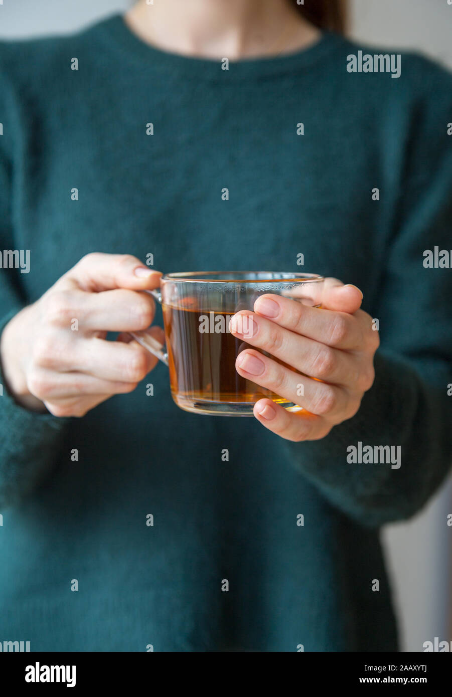 Close up hands holding tea cup of transparent glass with fresh tea. Girl in green sweater holds tea cup Stock Photo