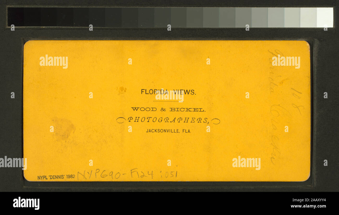 Florida Cracker Florida Cracker.; Florida Cracker Stock Photo Alamy