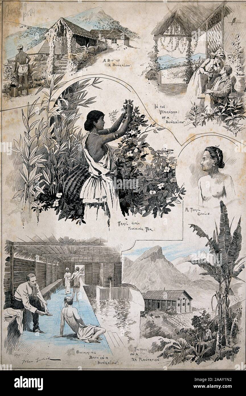 Six scenes from a Tamil village and neigbouring tea plantation. Coloured pen and ink drawing by J. Gulich, c. 1889..jpg - 2AAY1N2 Stock Photo