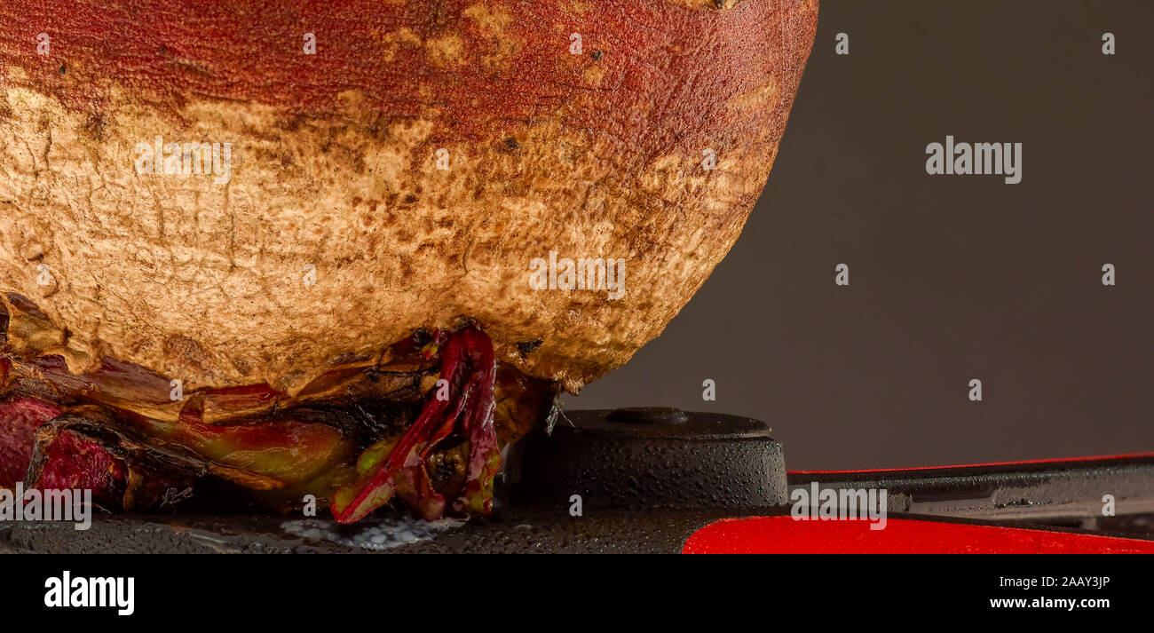 Beetroot against plain background, close-up food portrait Stock Photo ...