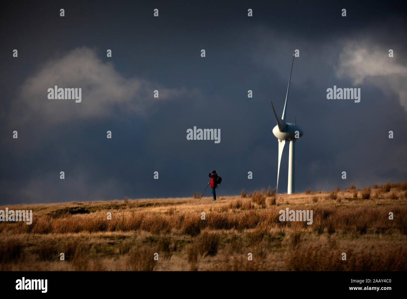 Walker on crest of hill dwarfed by wind turbine with dramatic sky in late afternoon light in the South Wales valleys. Stock Photo