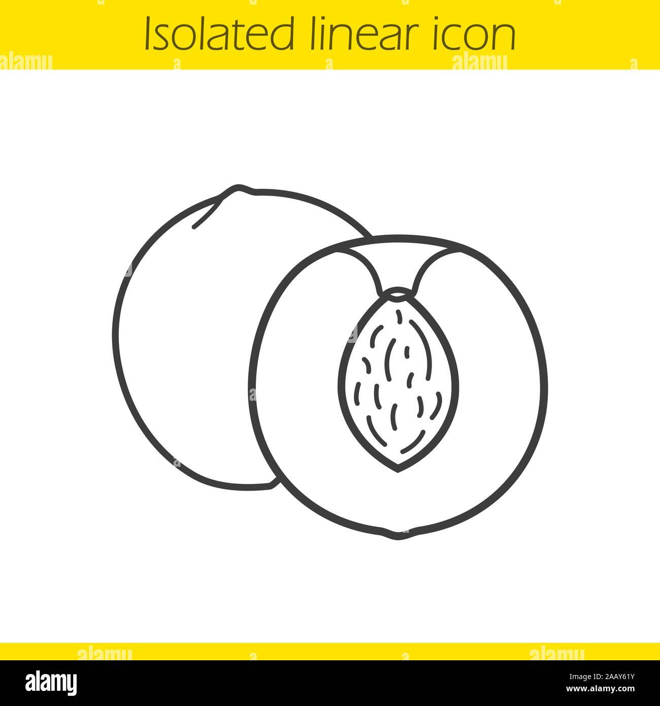 Peach linear icon. Thin line illustration. Nectarine half contour symbol. Vector isolated