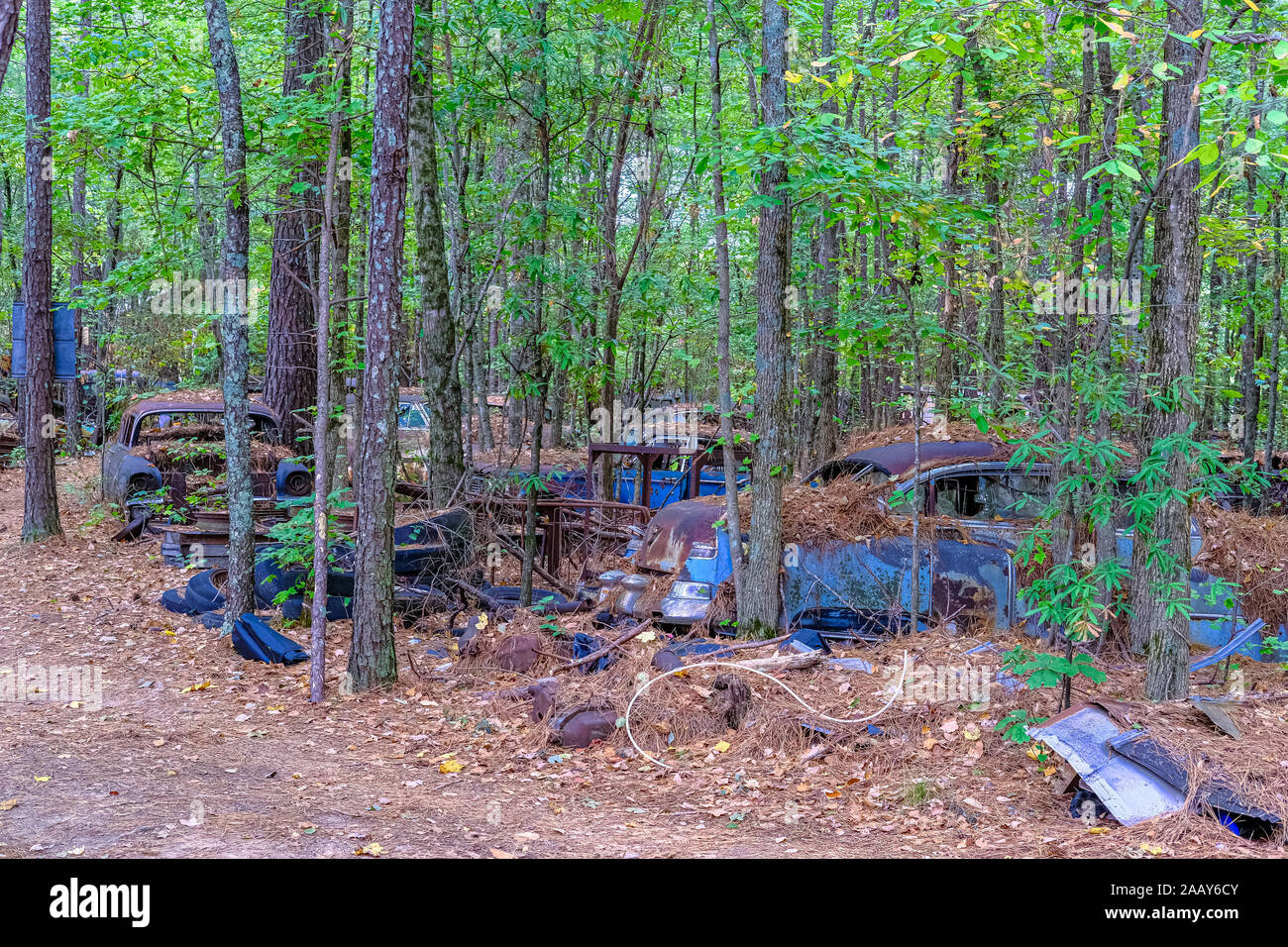 Old junk cars in woods hi-res stock photography and images - Alamy