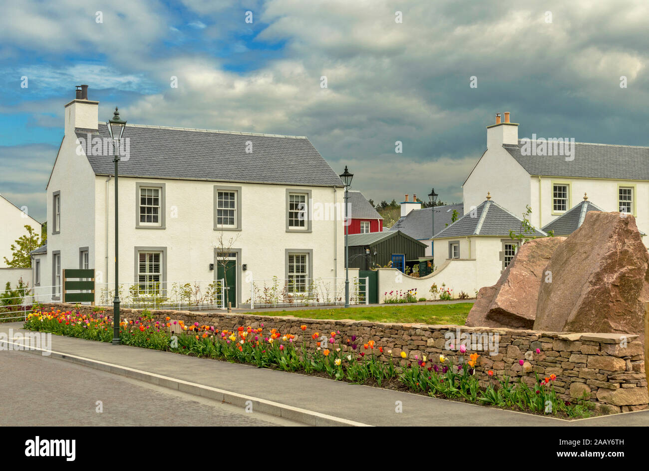 TORNAGRAIN INVERNESS SCOTLAND THE PLANNED HAMLET OR VILLAGE A HOUSE WITH STONE WALL AND A BED OF COLOURFUL TULIPS Stock Photo