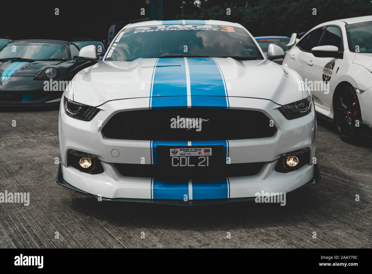 ford mustang walker