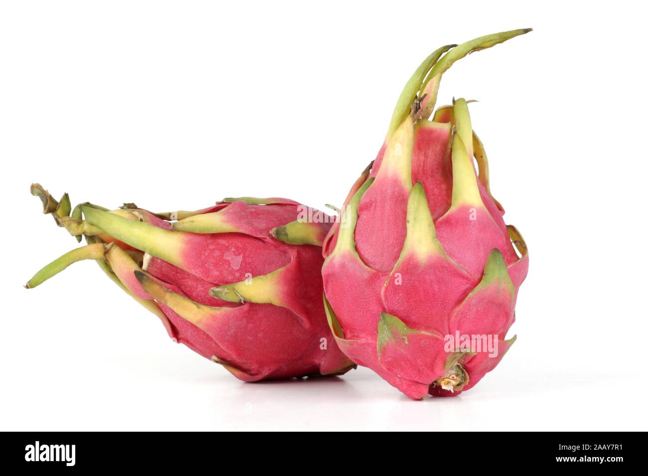 Rote Pitahaya (Cereus triangularis, Hylocereus triangularis, Hylocereus undatus), rote Drachenfrucht, Herkunft: Kolumbien. | red pitahaya, strawberry Stock Photo