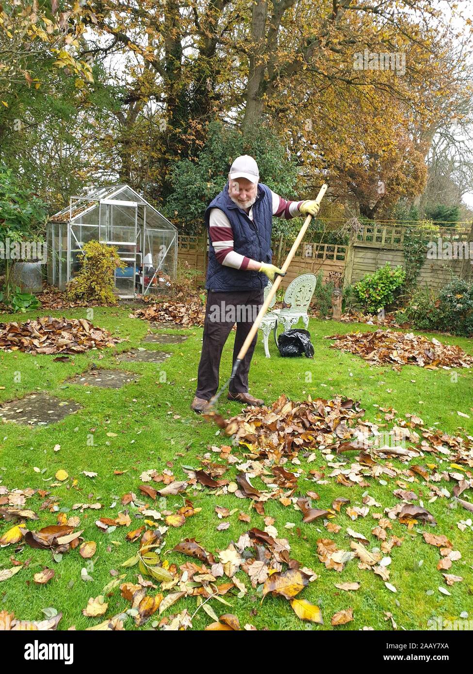 Man raking leaves in the garden on an autumn day Stock Photo