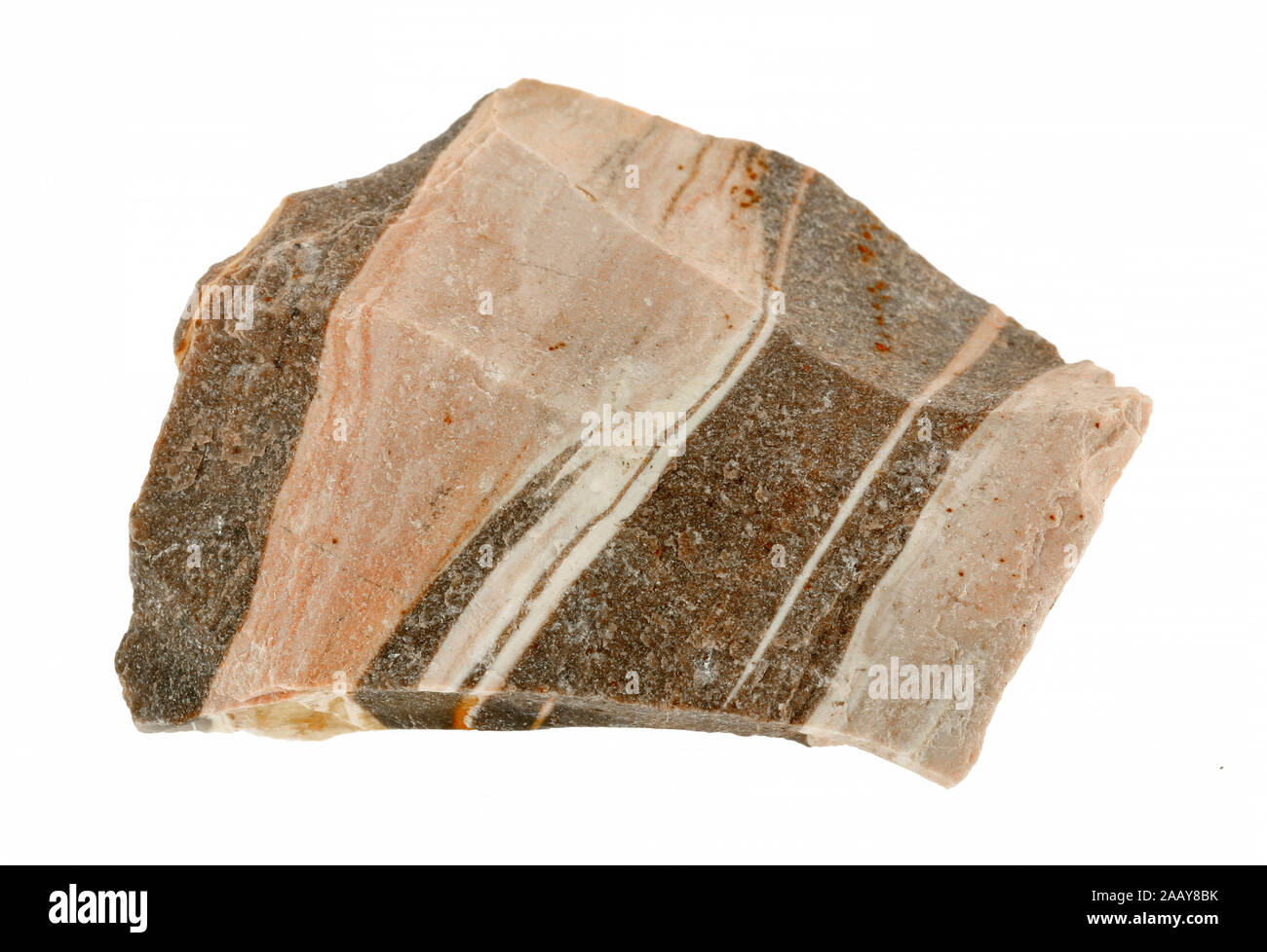 Zebrajaspis | zebra jasper | BLWS142701.jpg [ (c) blickwinkel/fotototo Tel. +49 (0)2302-2793220, E-mail: info@blickwinkel.de, Internet: www.blickwinke Stock Photo