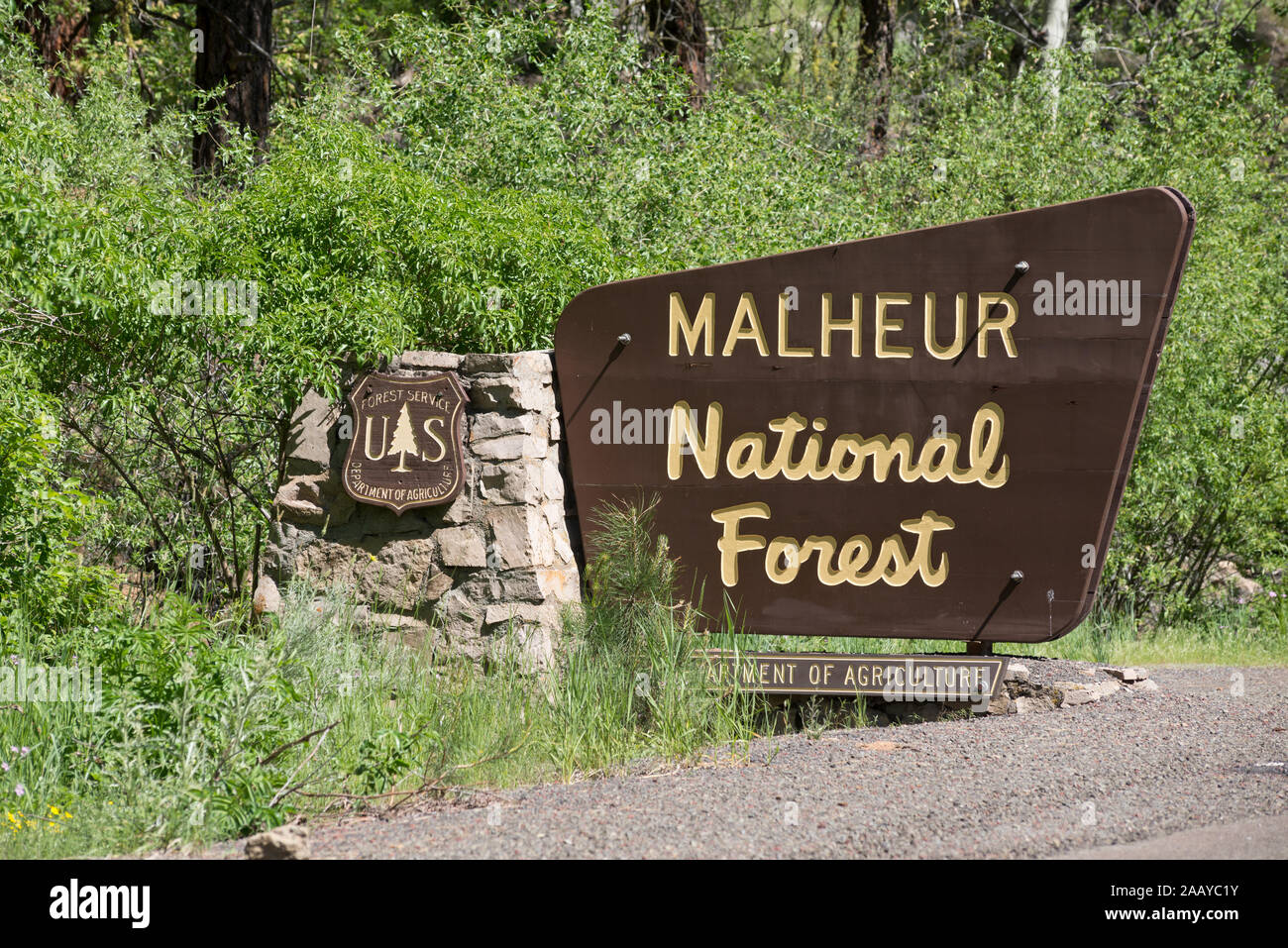 Entrance sign,  Malheur National Forest, Oregon. Stock Photo