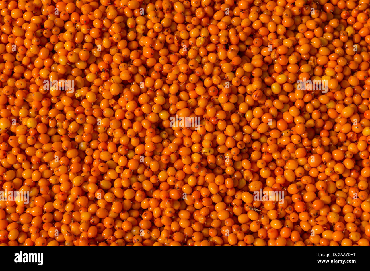 Raw vegetables and fruits background. Healthy organic food concept Stock Photo