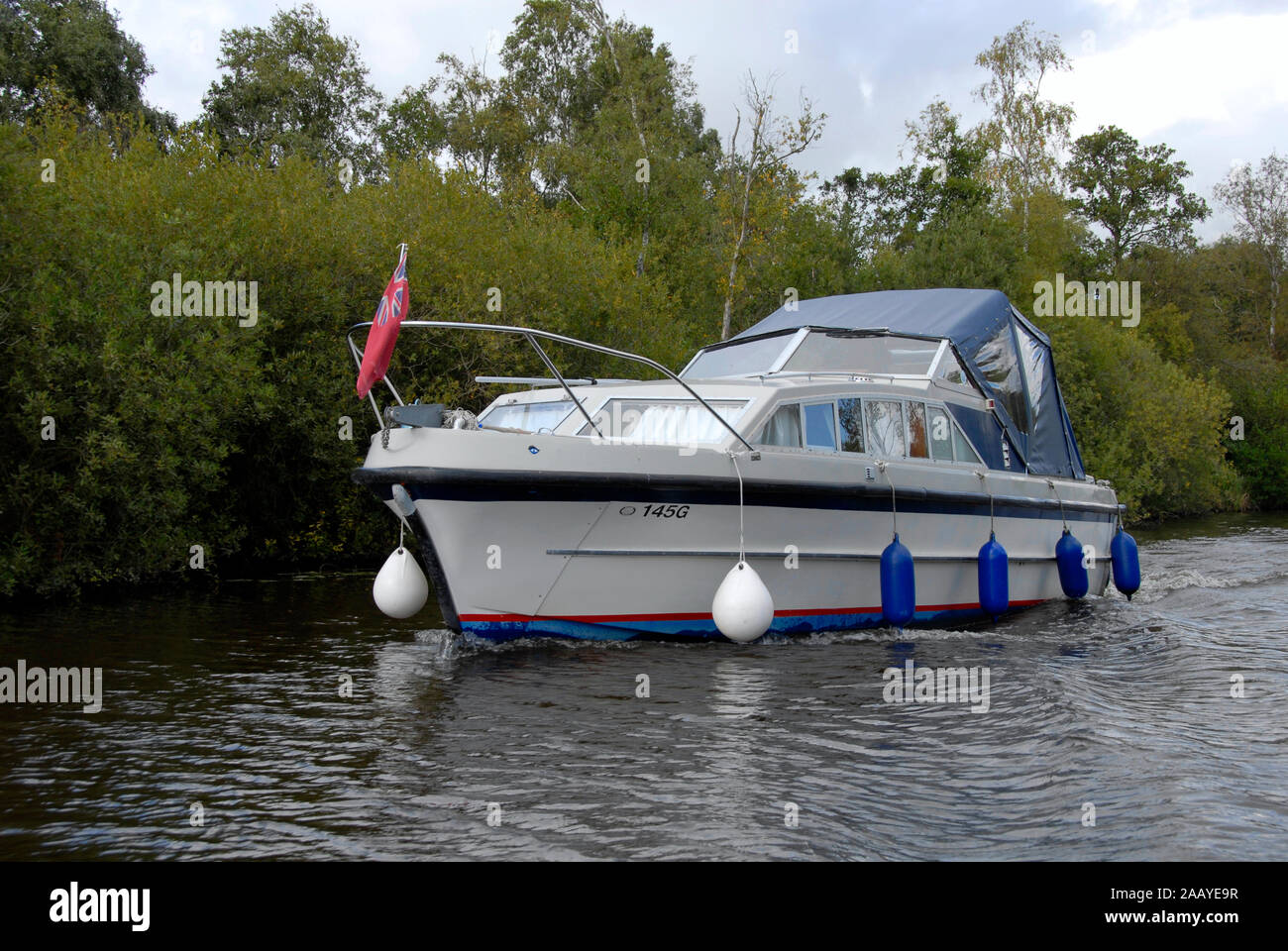 Motor cruiser on river Ant, Norfolk Broads, England Stock Photo