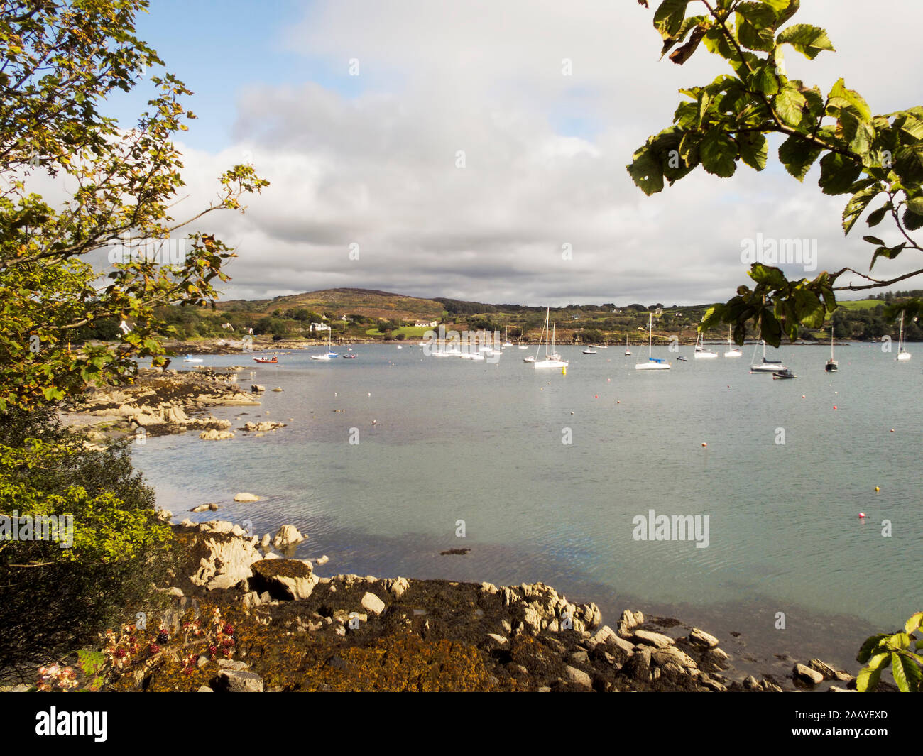 Atlantic bay near Schull in County Cork,Ireland Stock Photo Alamy