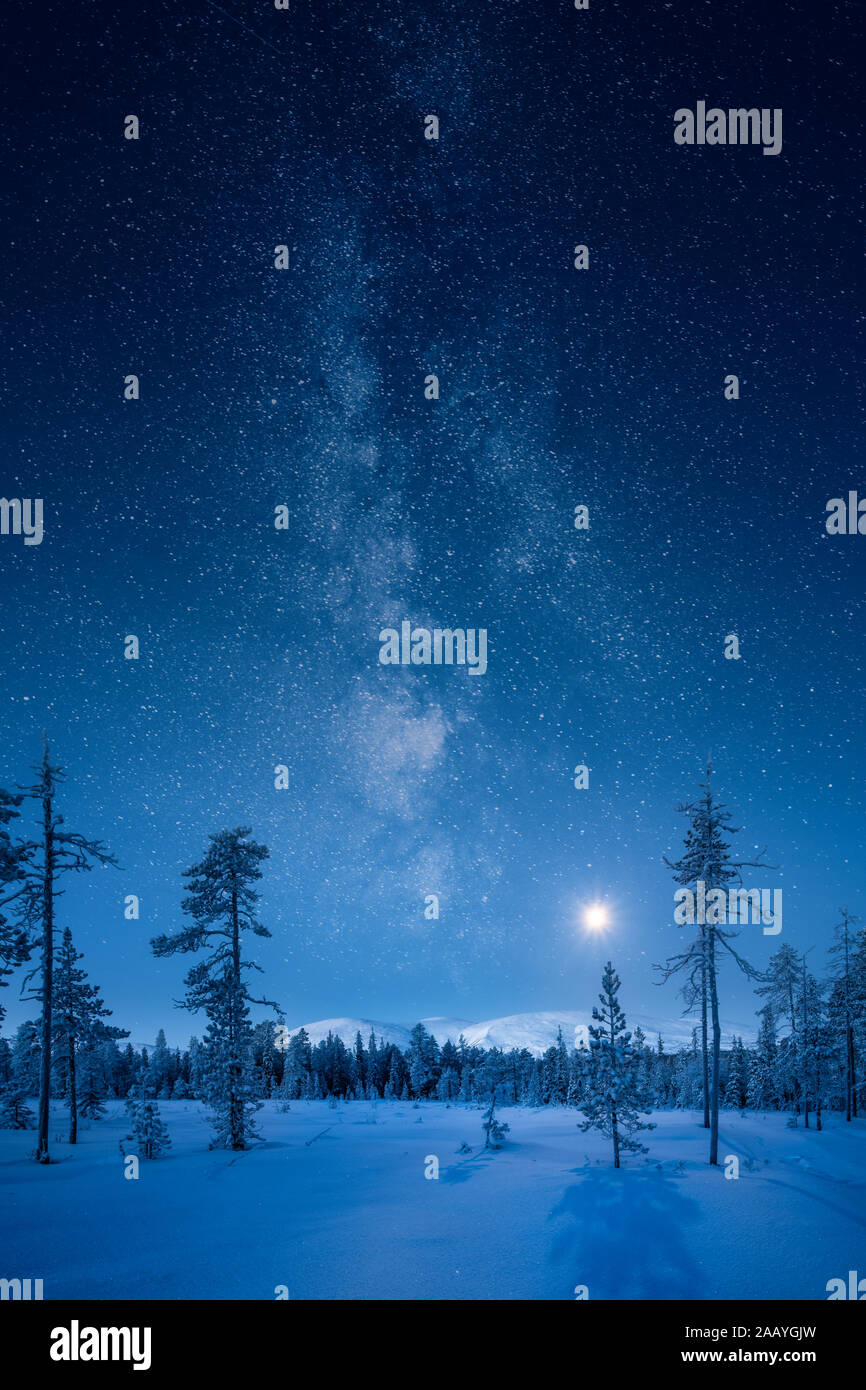 Moonlight forest snow hi-res stock photography and images