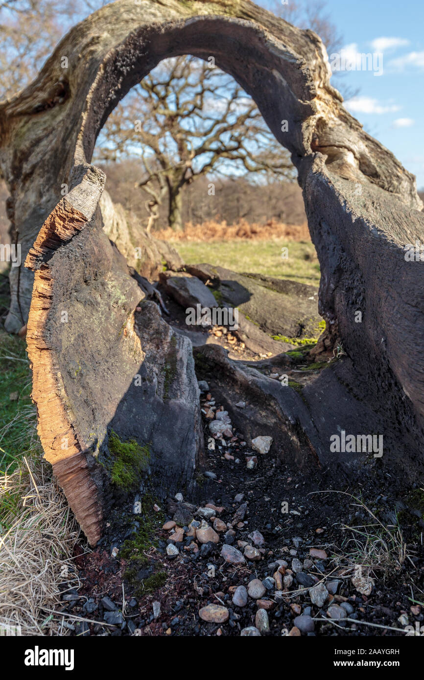 Complety Hi res Stock Photography And Images Alamy