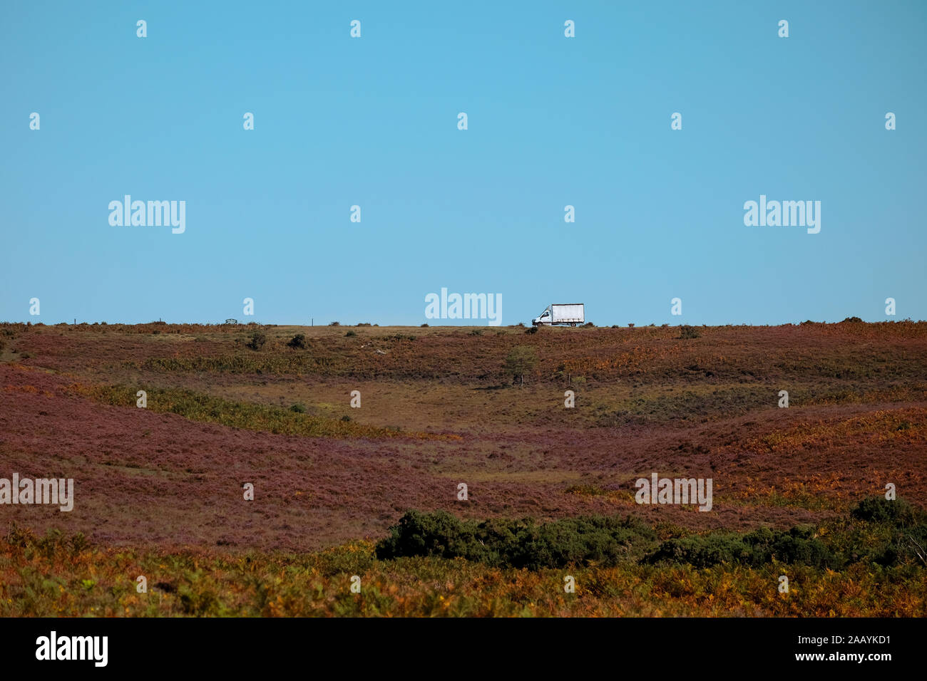A wide angle shot with lots of copy space a unmarked white transit van drives on a road across autumnal heathland of the New Forest Hampshire England Stock Photo