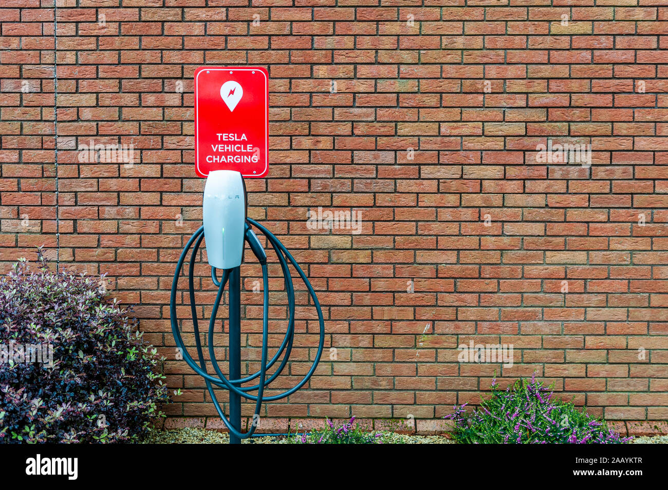 Tesla Electric Car charging point with copy space Stock Photo