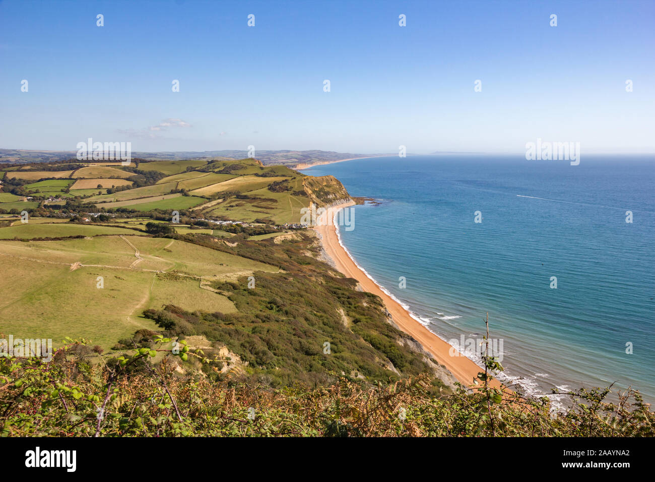 Far reaching view out to the English Channel sea from the top of Golden Cap hill in West Dorset, England, with background view of Bridport sandstone c Stock Photo