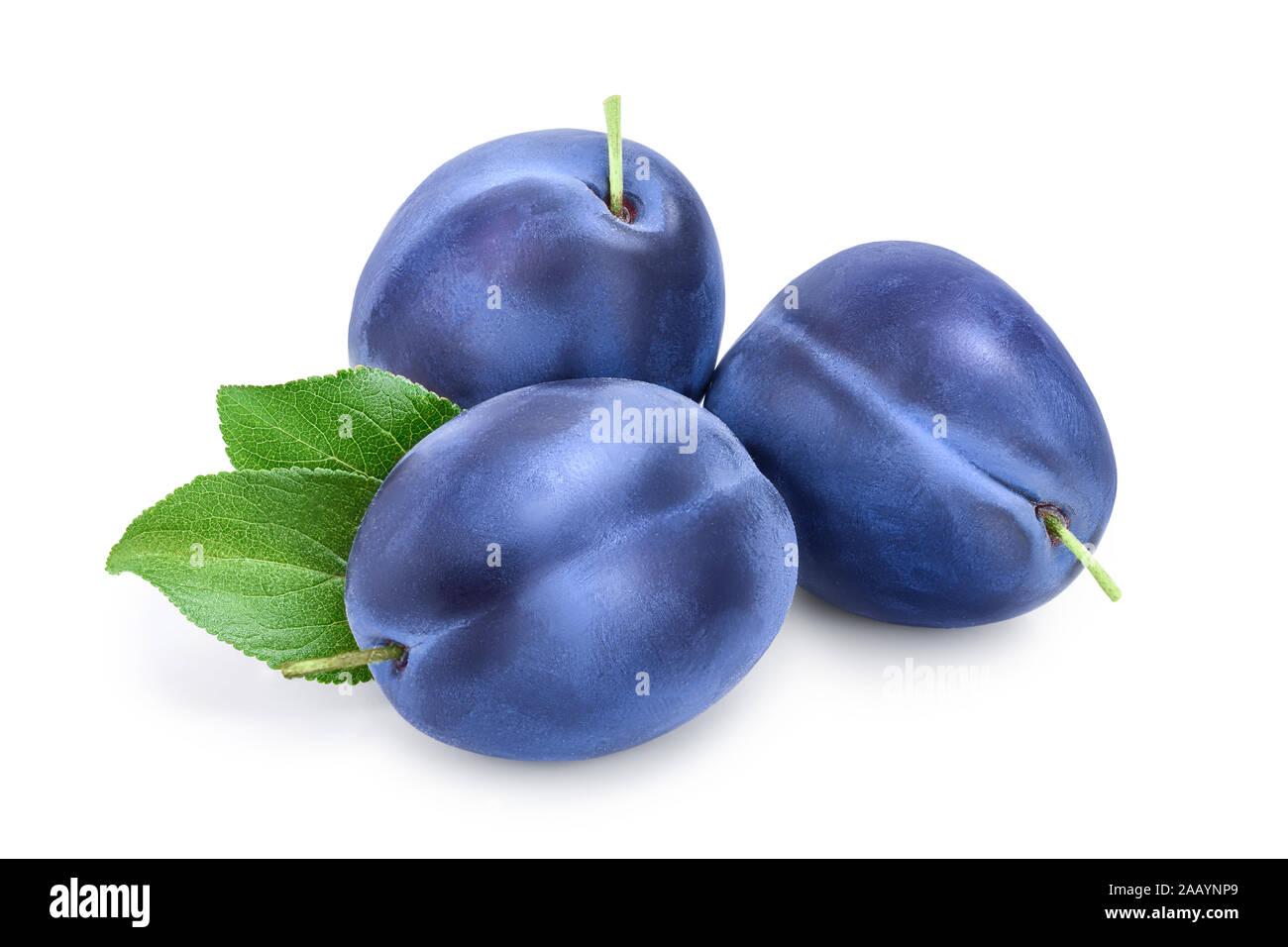 fresh blue plum with leaves isolated on white background Stock Photo