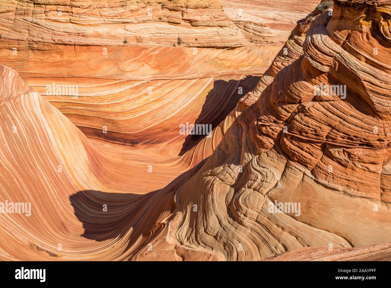 Sandstone towers and valley of the Wave formation that is infamously difficult to obtain a permit and hike to. Stock Photo