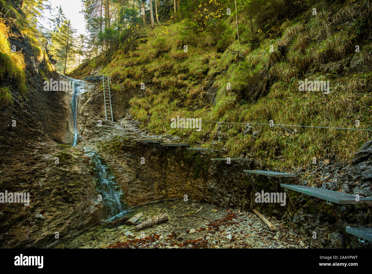 Hiking trail in Sucha Bela gorge in Slovensky raj National park, Slovakia. Stock Photo