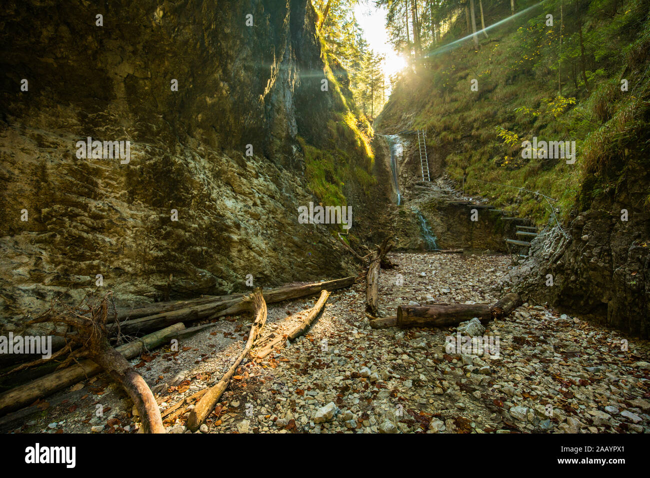 Hiking trail in Sucha Bela gorge in Slovensky raj National park, Slovakia. Stock Photo