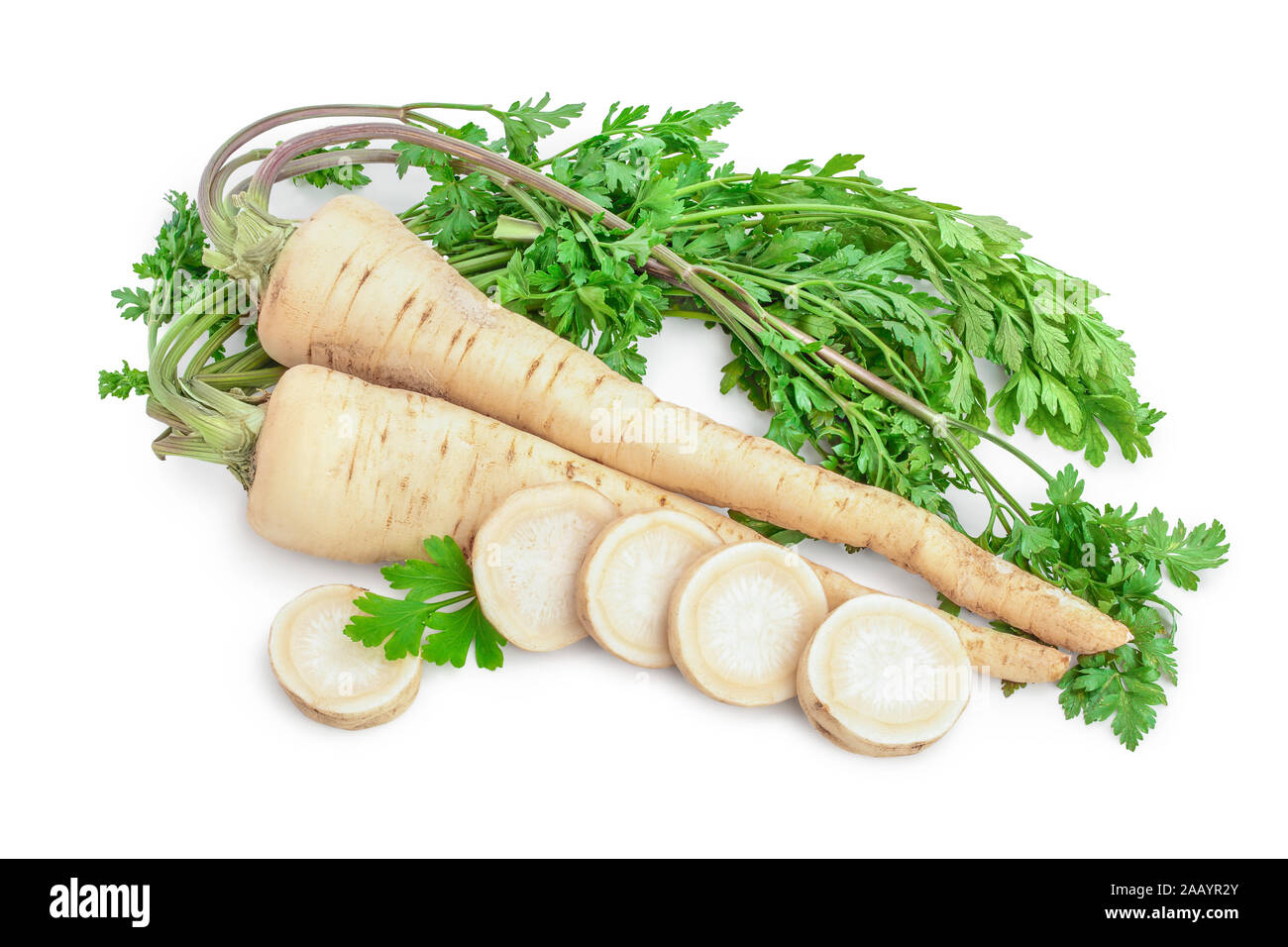 Parsley root with slices and leaves isolated on white background Stock